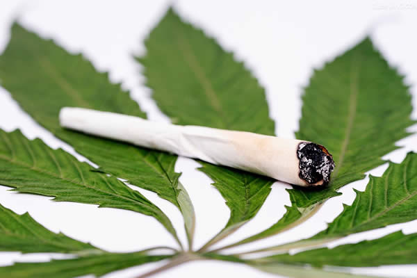 吸食大麻对人体有哪些损害？